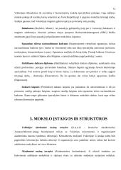 Ekonomikos studijų ypatumai Vokietijos universitetuose 12 puslapis