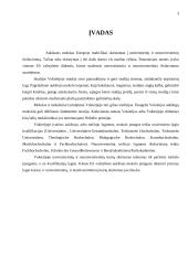Ekonomikos studijų ypatumai Vokietijos universitetuose 3 puslapis