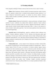 Ekonomikos studijų ypatumai Vokietijos universitetuose 10 puslapis