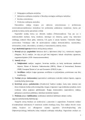 Ekonomikos studijų programos Vokietijoje 4 puslapis