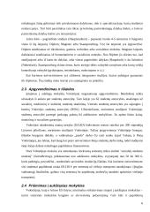 Ekonomikos studijų programos Vokietijoje 5 puslapis