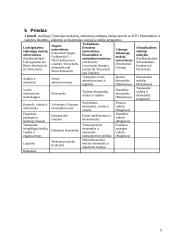 Ekonomikos studijų programos Vokietijoje 8 puslapis