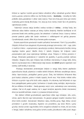 Etninės muzikos instrumentai papročiuose 4 puslapis