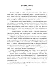 Europos regioniniai skirtumai 12 puslapis
