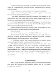 Europos regioniniai skirtumai 13 puslapis