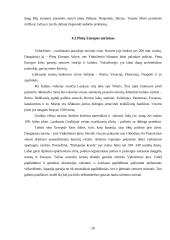 Europos regioniniai skirtumai 20 puslapis