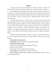 Europos regioniniai skirtumai 3 puslapis