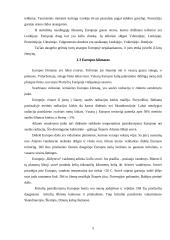 Europos regioniniai skirtumai 5 puslapis