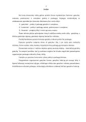 Gamintojo elgseną lemiantys veiksmai 3 puslapis