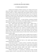 Gamintojo elgseną lemiantys veiksmai 4 puslapis