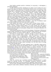 Germanų kultūra 12 puslapis