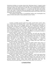 Germanų kultūra 15 puslapis