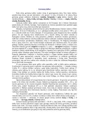 Germanų kultūra 3 puslapis