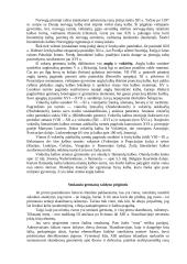 Germanų kultūra 4 puslapis