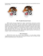 Grafinių bylų formatai 11 puslapis