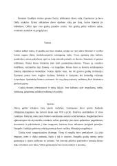 Senovės Graikijos istorija 10 puslapis