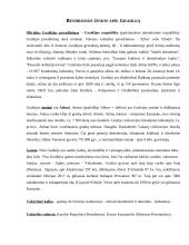 Graikijos Respublika 2 puslapis