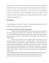 Graikijos Respublika 14 puslapis