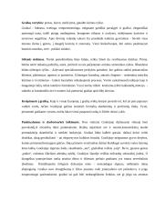 Graikijos Respublika 9 puslapis