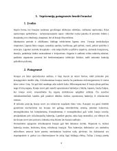 Gramneigiamų bakterijų sukeliamų septicemijų patogenezė 2 puslapis