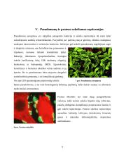Gramneigiamų bakterijų sukeliamų septicemijų patogenezė 7 puslapis