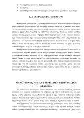 Haliucinacijos 13 puslapis