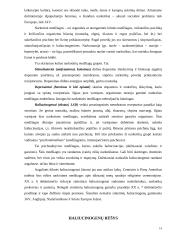 Haliucinacijos 14 puslapis