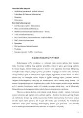 Haliucinacijos 15 puslapis