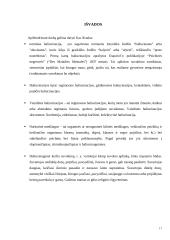 Haliucinacijos 17 puslapis