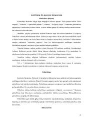 Haliucinacijos 20 puslapis