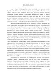 Haliucinacijos 4 puslapis