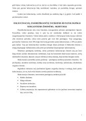 Haliucinacijos 7 puslapis
