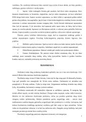 Haliucinacijos 9 puslapis