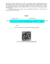 Hepatitas C: epidemiologija, laboratorinė diagnostika ir prevencija 7 puslapis