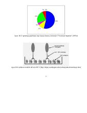 Hepatitas C: epidemiologija, laboratorinė diagnostika ir prevencija 8 puslapis