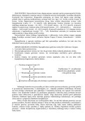 Hiperglikemijos etiologijos formos. Hipoglikemija, jos etiologija, klinikinis pasireiškimas. Hipoglikeminė koma 5 puslapis