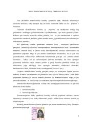 Identifikavimo kortelės 3 puslapis