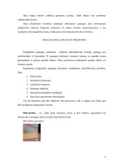 Identifikavimo kortelės 6 puslapis