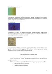 Identifikavimo kortelės 9 puslapis