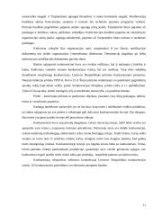 Intelektinė veikla ir jos rezultatai 11 puslapis