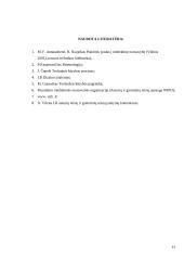 Intelektinė veikla ir jos rezultatai 13 puslapis