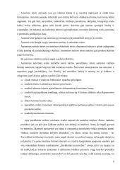 Intelektinė veikla ir jos rezultatai 6 puslapis