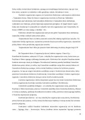 Intelektinė veikla ir jos rezultatai 10 puslapis