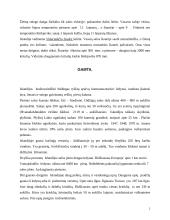 Islandijos respublika 2 puslapis