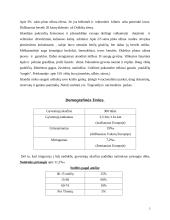 Islandijos respublika 3 puslapis