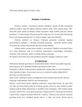 Islandijos respublika 7 puslapis