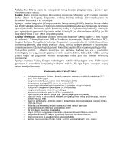 Ispanijos geografinė, politinė, socialinė bei ekonominė padėtis 9 puslapis