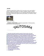 Ispanijos ypatybės 2 puslapis