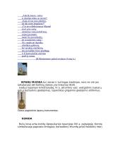 Ispanijos ypatybės 3 puslapis