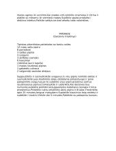 Ispanijos ypatybės 6 puslapis